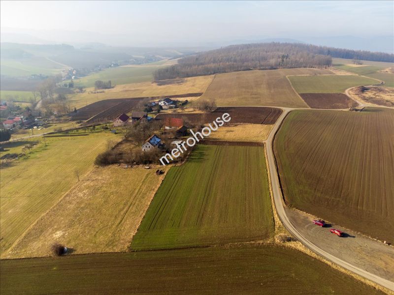 Działka na sprzedaż, Kłodzki, Suszyna