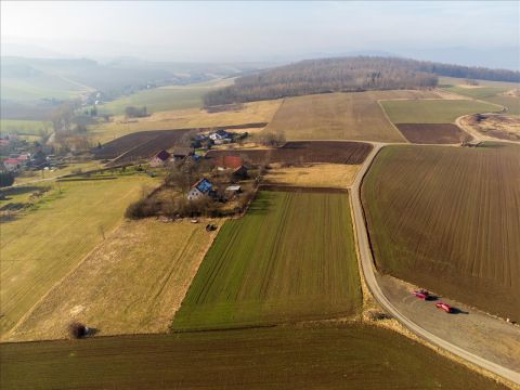 Sprzedaż Działka Suszyna, pow. kłodzki