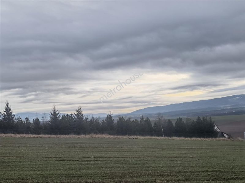 Działka na sprzedaż, Kłodzki, Suszyna