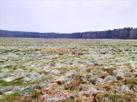 Sprzedaż Działka Dębina, pow. słupski