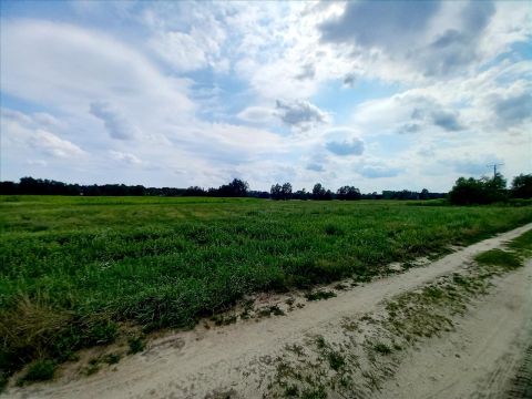 Sprzedaż Działka Stary Adamów, pow. zgierski