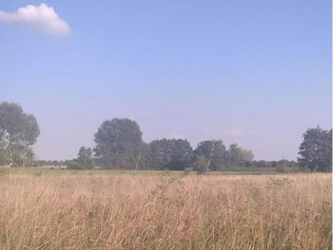 Sprzedaż Działka Nowe Lipiny, pow. wołomiński