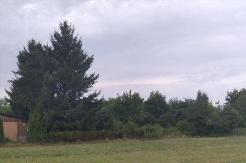 Sprzedaż Działka Stare Załubice, pow. wołomiński