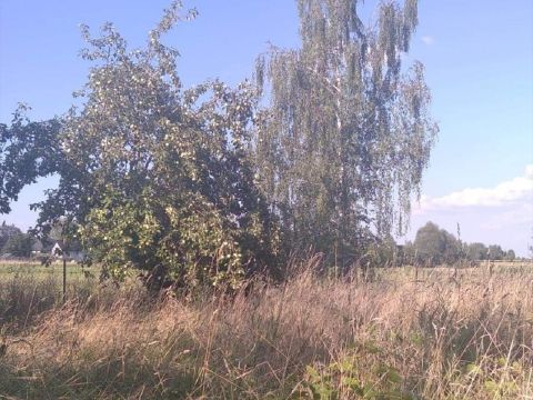 Sprzedaż Działka Guzowatka, pow. wołomiński