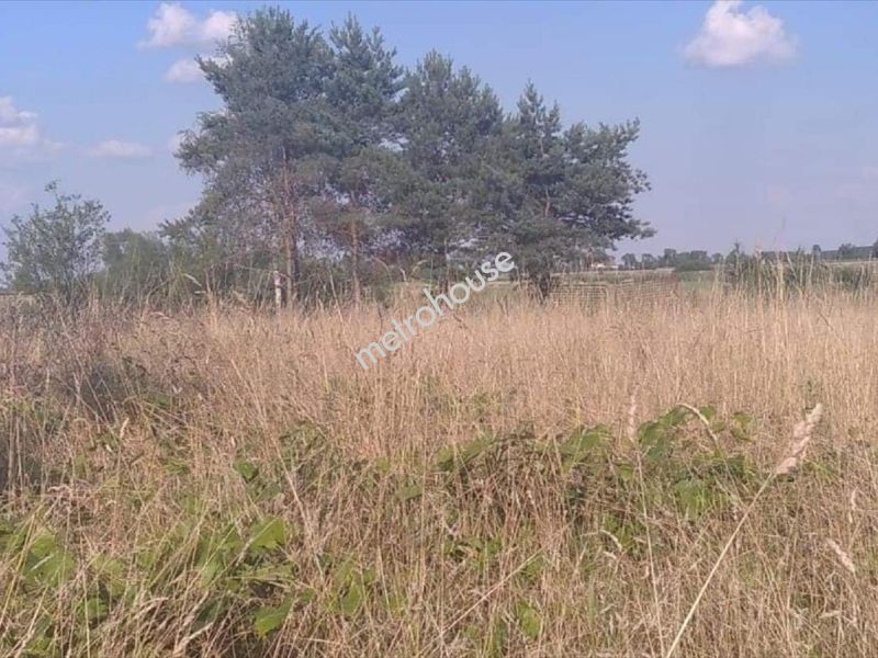 Działka na sprzedaż, Wołomiński, Guzowatka