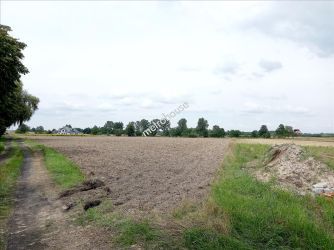 Działka na sprzedaż, Pabianicki, Florentynów