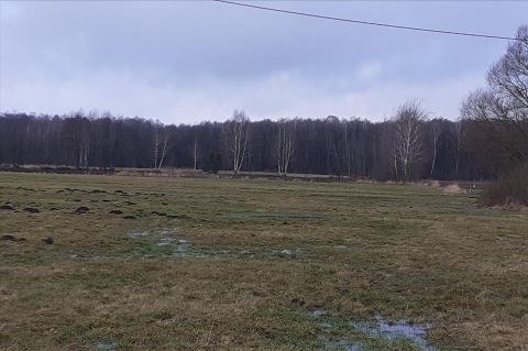 Sprzedaż Działka Brzozów