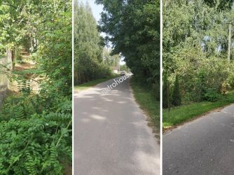 Działka na sprzedaż, Siedlecki, Pieńki