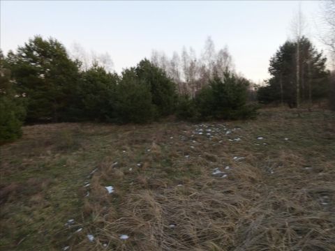 Sprzedaż Działka Teofile, pow. nowodworski