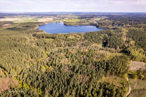 Sprzedaż Działka Krzywonoga, pow. szczycieński