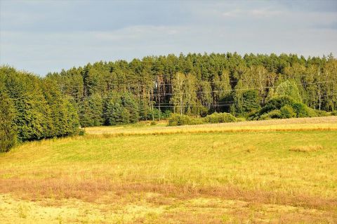Sprzedaż Działka Woryty, pow. olsztyński