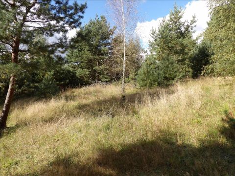 Sprzedaż Działka Zastawie, pow. brodnicki