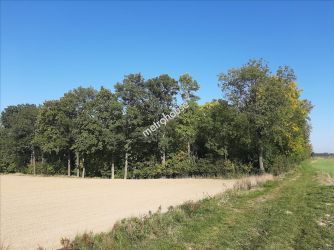 Działka na sprzedaż, Wrocławski, Stróża