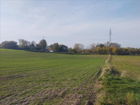 Sprzedaż Działka Brodnica