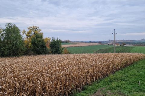 Sprzedaż Działka Sitno, pow. golubsko-dobrzyński