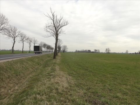 Sprzedaż Działka Chabowo Świniary, pow. sierpecki
