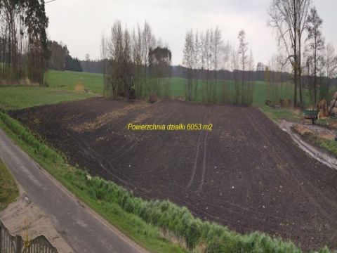 Sprzedaż Działka Szarów, pow. poddębicki