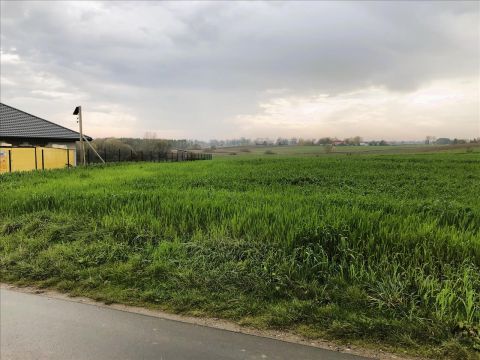 Sprzedaż Działka Zbójno, pow. golubsko-dobrzyński