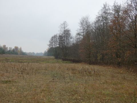 Sprzedaż Działka Wilków Polski, pow. nowodworski