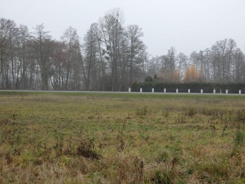 Sprzedaż Działka Wilków Polski, pow. nowodworski