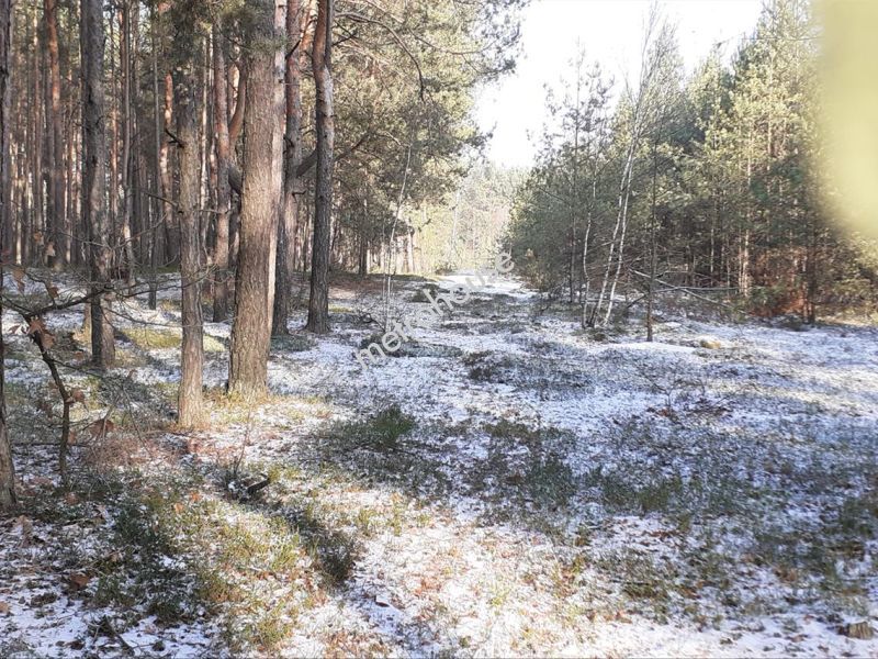 Działka na sprzedaż, Siedlecki, Stare Opole