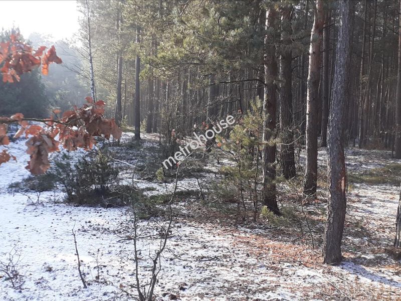 Działka na sprzedaż, Siedlecki, Stare Opole