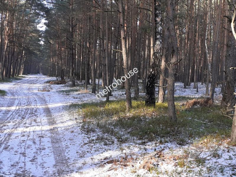 Działka na sprzedaż, Siedlecki, Stare Opole