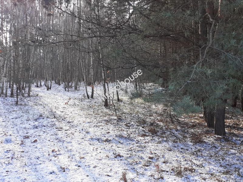 Działka na sprzedaż, Siedlecki, Stare Opole