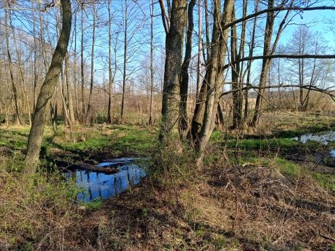 Sprzedaż Działka Tomaszów Mazowiecki
