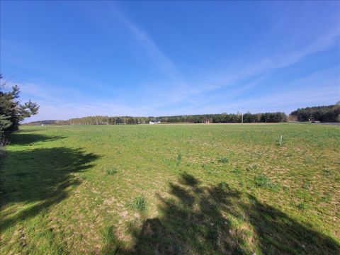 Sprzedaż Działka Nowa Wieś, pow. toruński