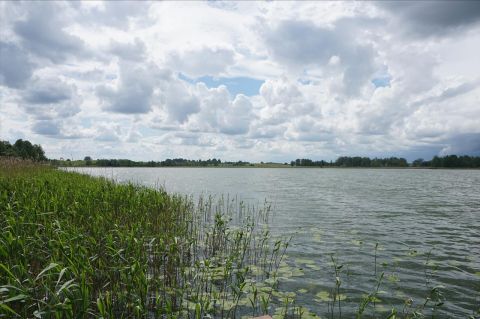 Sprzedaż Działka Rogale, pow. ełcki