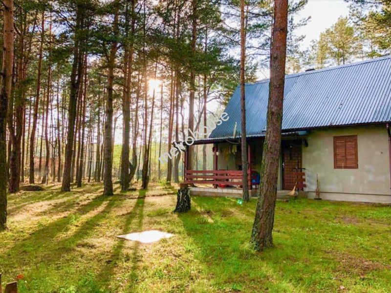 Dom na sprzedaż, łaski, Rokitnica