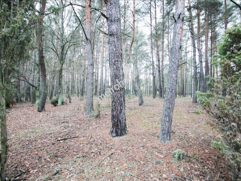 Dom na sprzedaż, łaski, Rokitnica