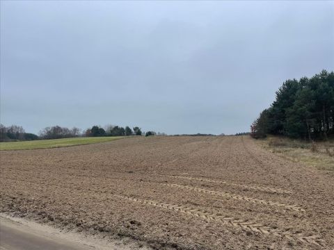 Sprzedaż Działka Białkowo, pow. golubsko-dobrzyński