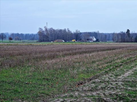 Sprzedaż Działka Dalików, pow. poddębicki