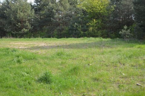 Sprzedaż Działka Karolinów, pow. piotrkowski