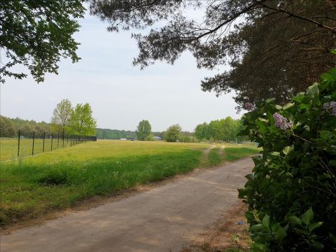 Sprzedaż Działka Choinek, pow. gostyniński