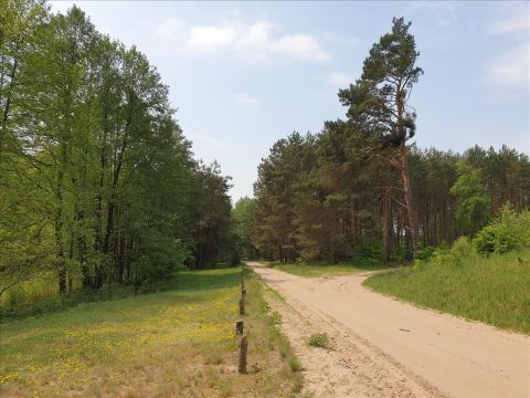 Sprzedaż Działka Choinek, pow. gostyniński