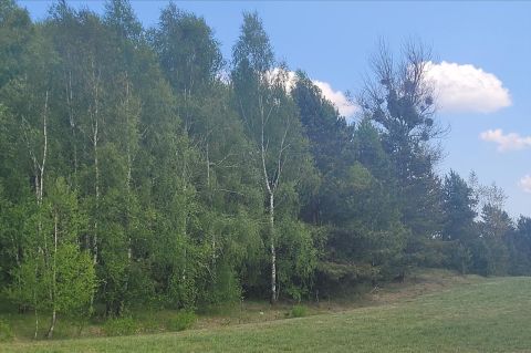 Sprzedaż Działka Szumleś Szlachecki, pow. kościerski