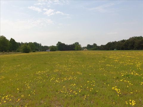 Sprzedaż Działka Choinek, pow. gostyniński