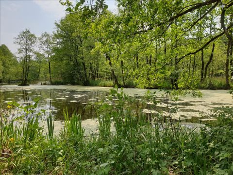Sprzedaż Działka Choinek, pow. gostyniński