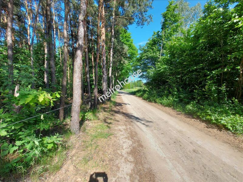 Działka na sprzedaż, Siedlecki, Wola Wodyńska