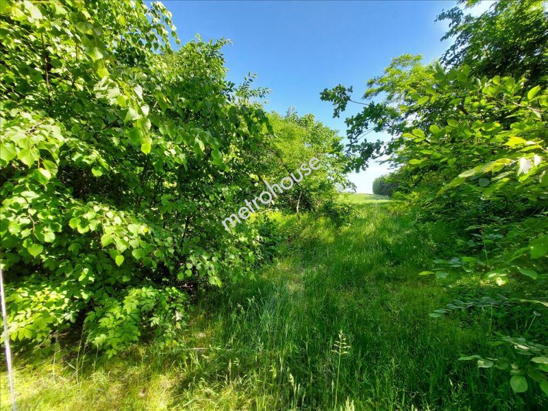 Działka na sprzedaż, Siedlecki, Wola Wodyńska