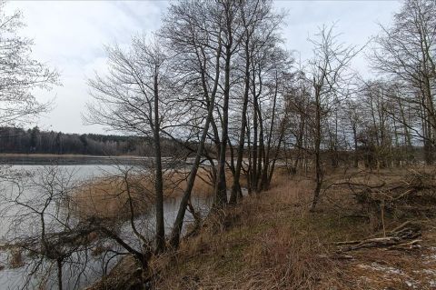 Sprzedaż Działka Mokiny, pow. olsztyński