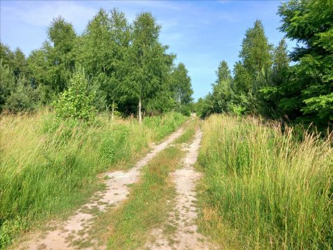 Sprzedaż Działka Ciężków, pow. zgierski