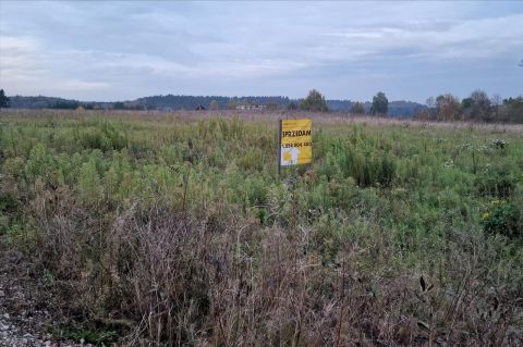 Sprzedaż Działka Nowogród, pow. golubsko-dobrzyński