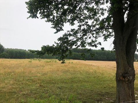 Sprzedaż Działka Chmielewo, pow. pułtuski