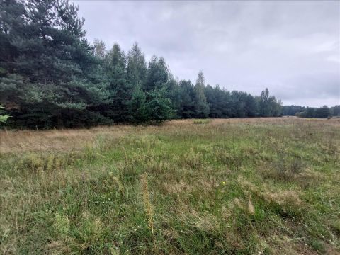 Sprzedaż Działka Wólka Plebańska, pow. bialski