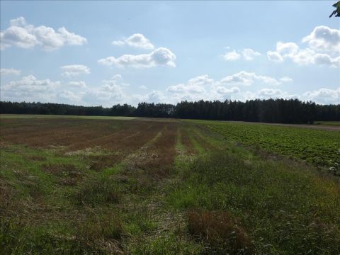 Sprzedaż Działka Drochowo, pow. płoński