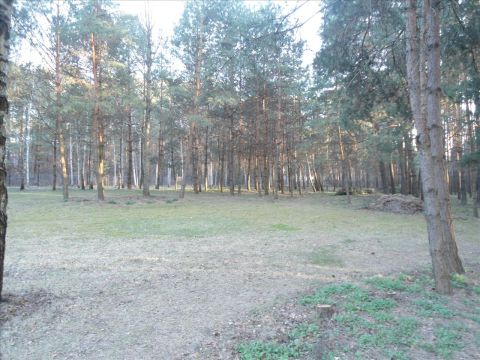 Sprzedaż Działka Otwock